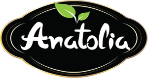 01_anatolia_nuts1-1