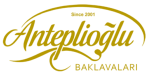 cropped-anteplioglu-logo-293x149